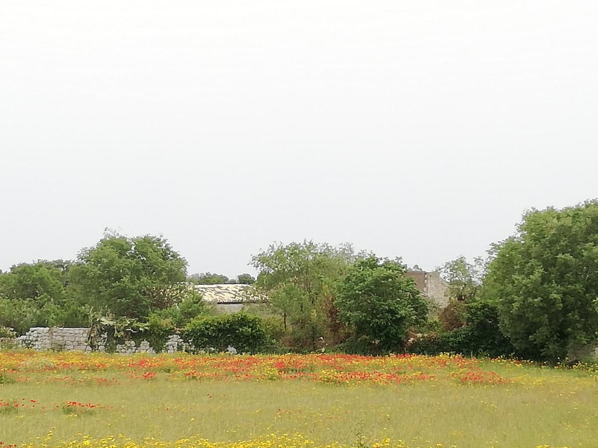 Agriturismo Fondo Paliemmu موديكا المظهر الخارجي الصورة