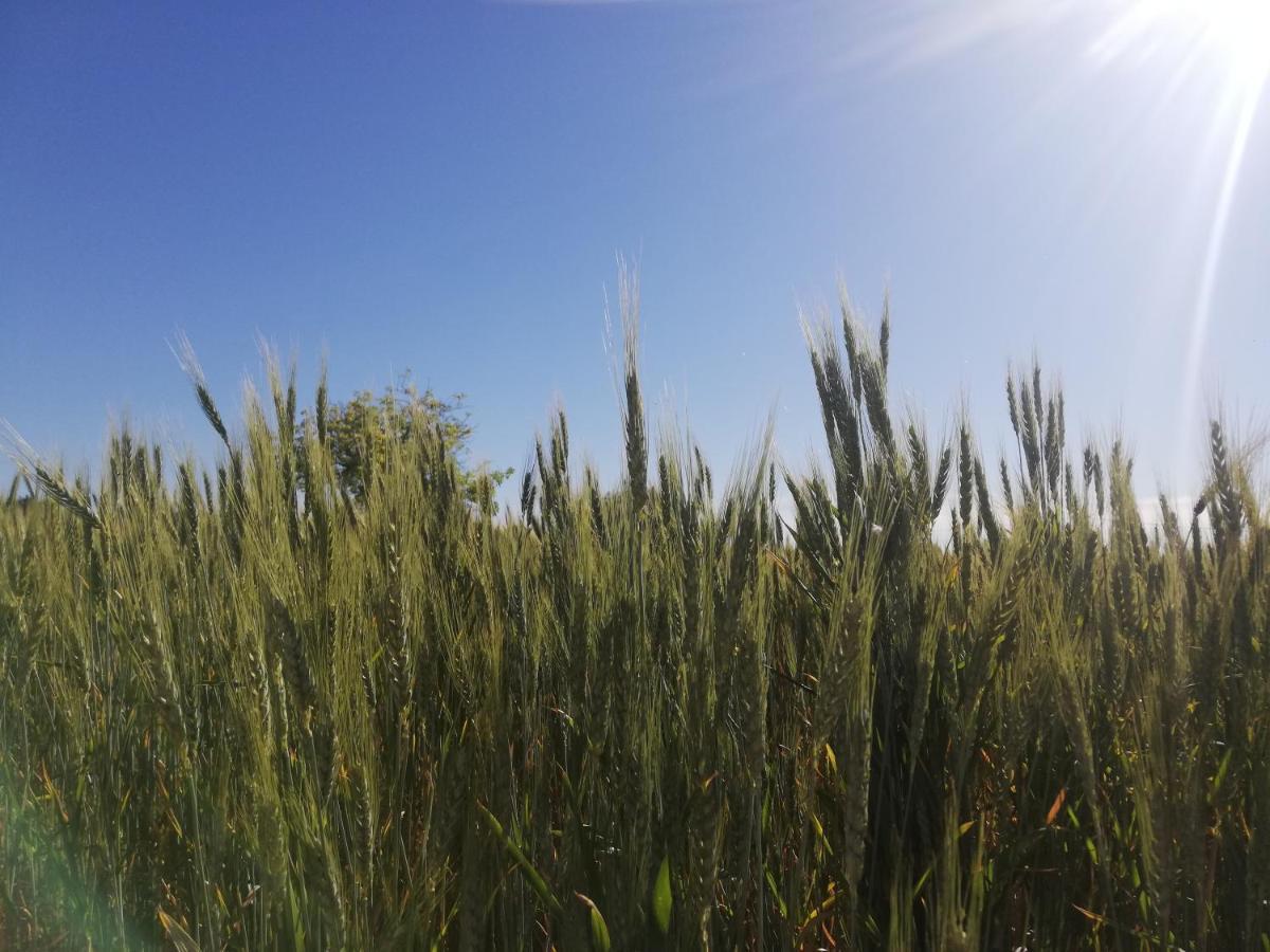 Agriturismo Fondo Paliemmu موديكا المظهر الخارجي الصورة