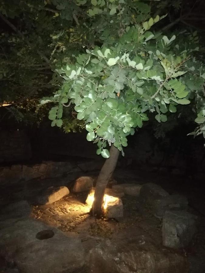 Agriturismo Fondo Paliemmu موديكا المظهر الخارجي الصورة