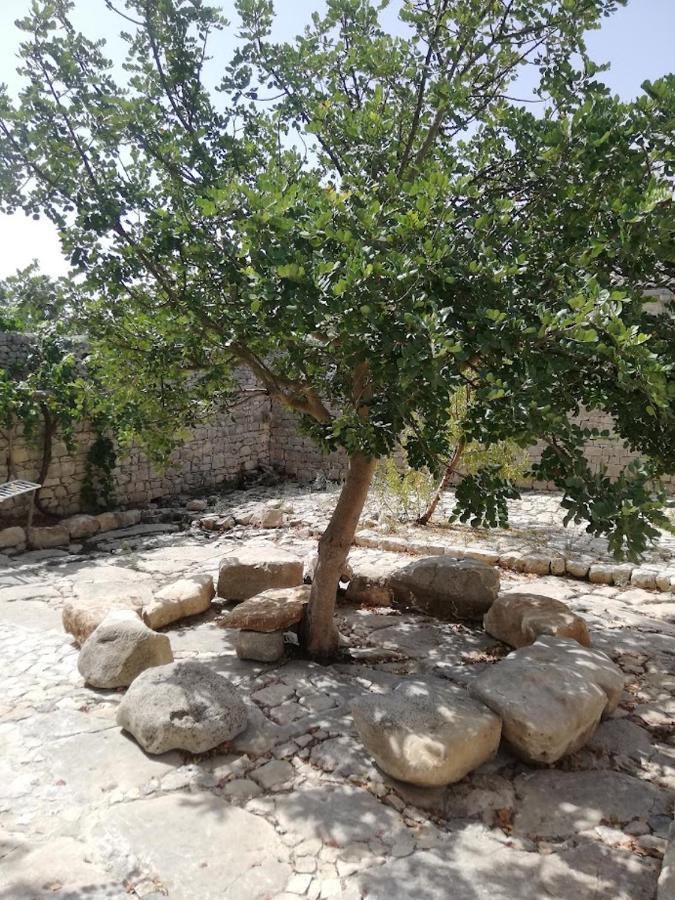 Agriturismo Fondo Paliemmu موديكا المظهر الخارجي الصورة