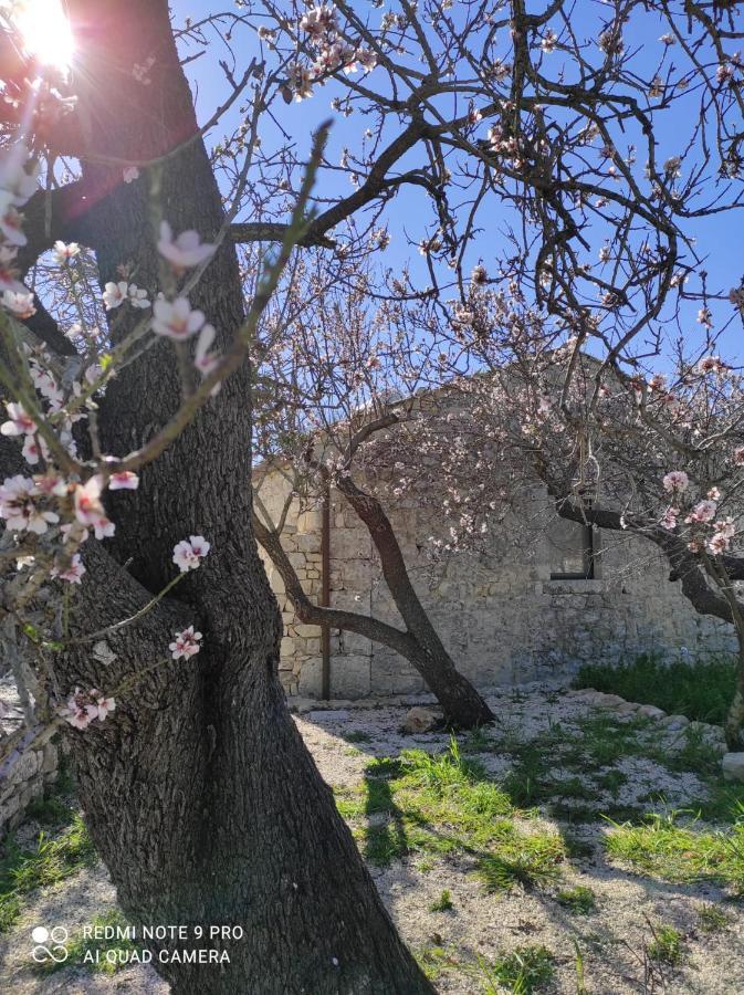 Agriturismo Fondo Paliemmu موديكا المظهر الخارجي الصورة